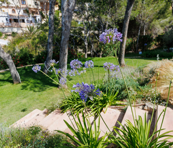 empresa de jardiner&iacute;a | empresa de jardiner&iacute;a