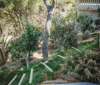 empresa de jardiner&iacute;a | empresa de jardiner&iacute;a