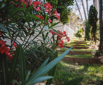 empresa de jardiner&iacute;a | empresa de jardiner&iacute;a