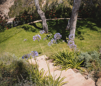 empresa de jardiner&iacute;a | empresa de jardiner&iacute;a
