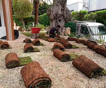 proyecto jardines Bonanova | empresa de jardinería