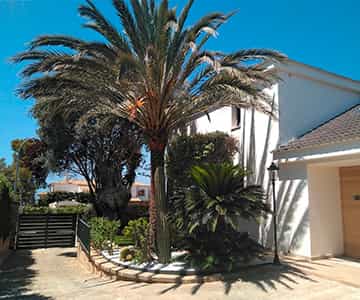 proyecto jardines Bonanova | empresa de jardinería