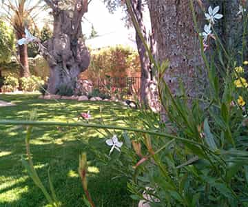 proyecto jardines Bonanova | empresa de jardinería