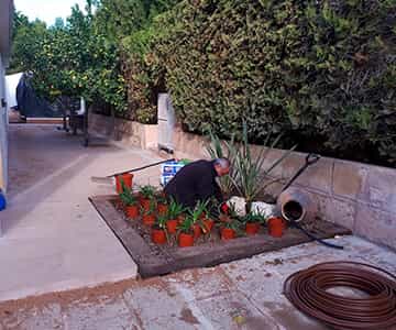 proyecto jardines Bonanova | empresa de jardinería