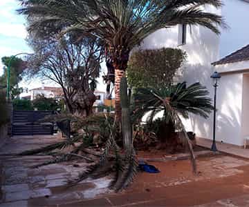 proyecto jardines Bonanova | empresa de jardinería
