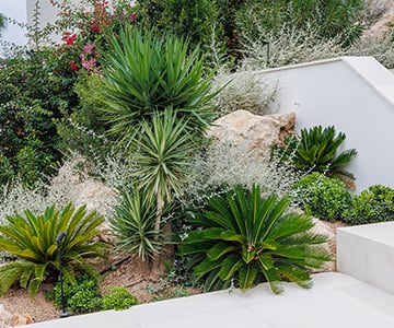 Proyecto Gerret | empresa de jardinería