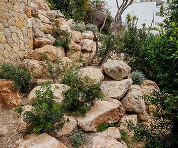 Proyecto Gerret | empresa de jardinería