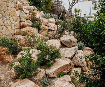 Proyecto Gerret | empresa de jardinería