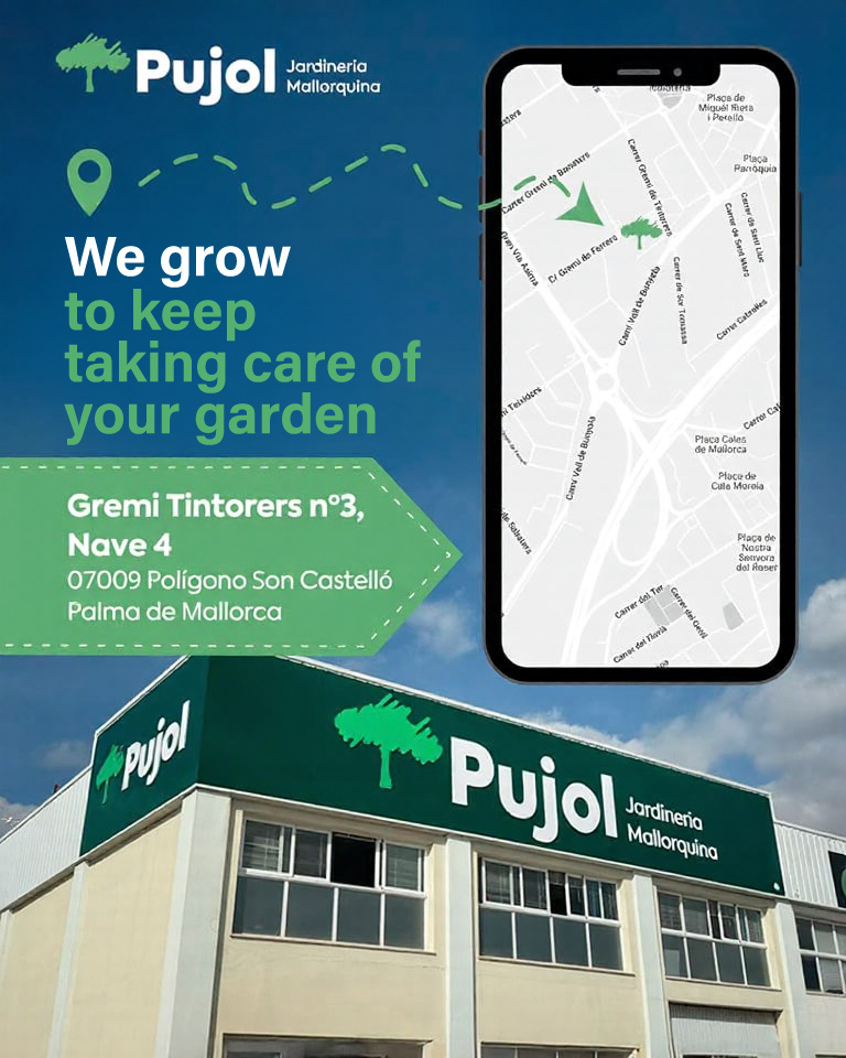 garden services in Mallorca | garden maintenance company