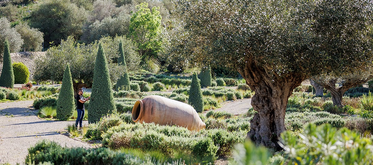 Jardinería Mallorquina Pujol, jardinería y paisajismo