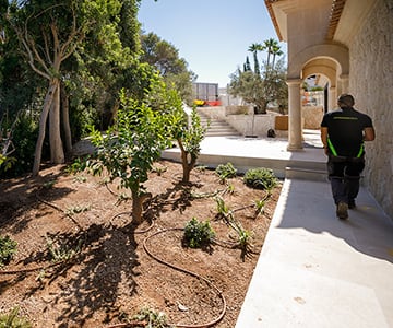 proyecto jardines Cala Santanyí | empresa de jardinería