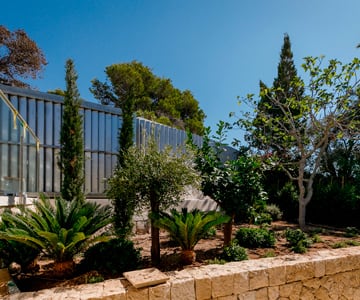 proyecto jardines Cala Santanyí | empresa de jardinería