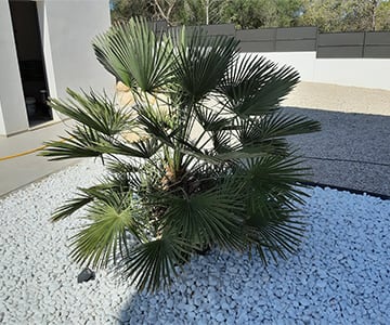 proyecto jardines Santa Ponça | empresa de jardinería