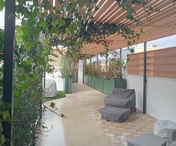 dise&ntilde;o de jardines Mallorca | empresa de jardiner&iacute;a