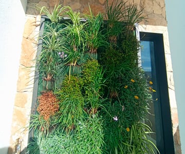 dise&ntilde;o de jardines Mallorca | empresa de jardiner&iacute;a