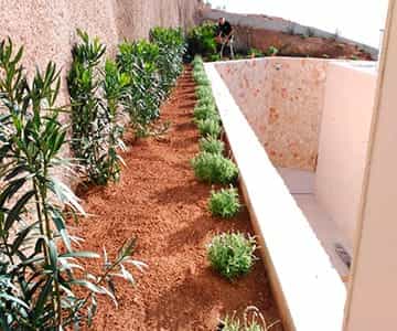 proyecto Son Vida jardines | empresa de jardinería