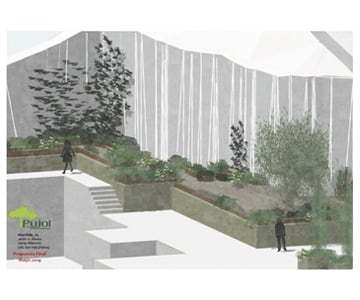 proyecto jardines Son Vida | empresa de jardinería