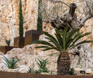 proyecto jardines Son Vida | empresa de jardinería