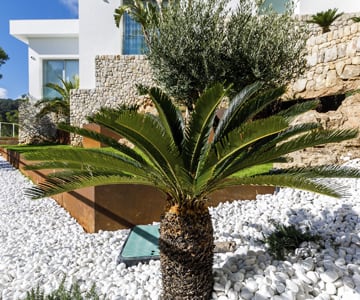 proyecto jardines Son Vida | empresa de jardinería