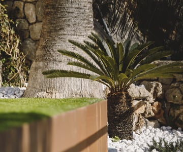 proyecto jardines Son Vida | empresa de jardinería