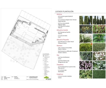 proyecto jardines Son Vida | empresa de jardinería