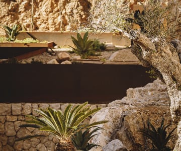 proyecto jardines Son Vida | empresa de jardinería