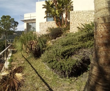 proyecto jardines Son Vida | empresa de jardinería