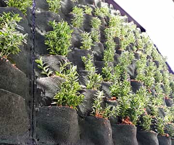 jardín vertical para empresas | empresa de jardinería