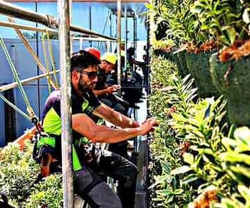 jardín vertical para empresas | empresa de jardinería
