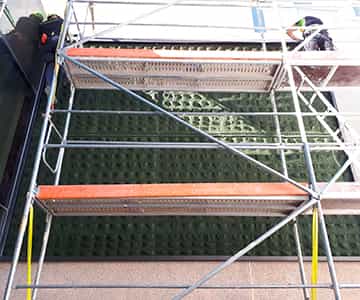 jardín vertical para empresas | empresa de jardinería