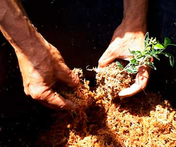 jardín vertical para empresas | empresa de jardinería
