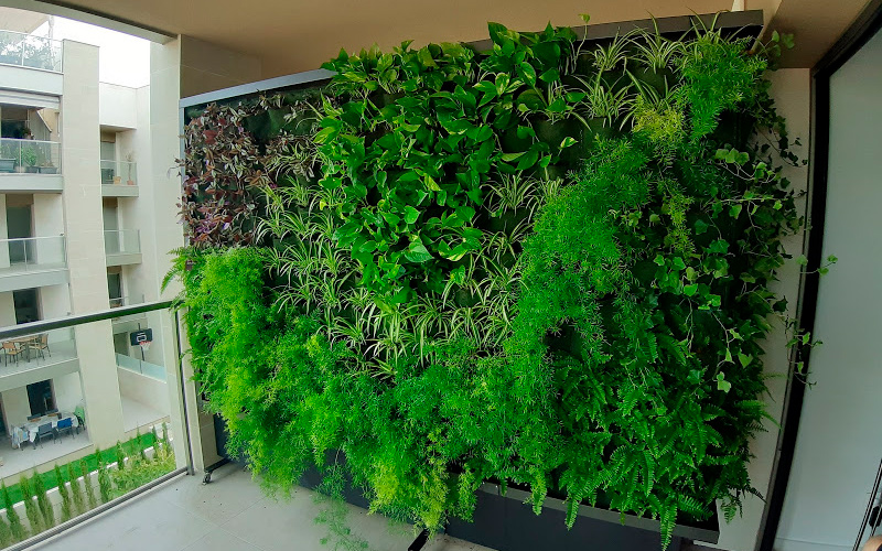 Interior De La Pared De Piedra Decorativa Con Jardines Verticales