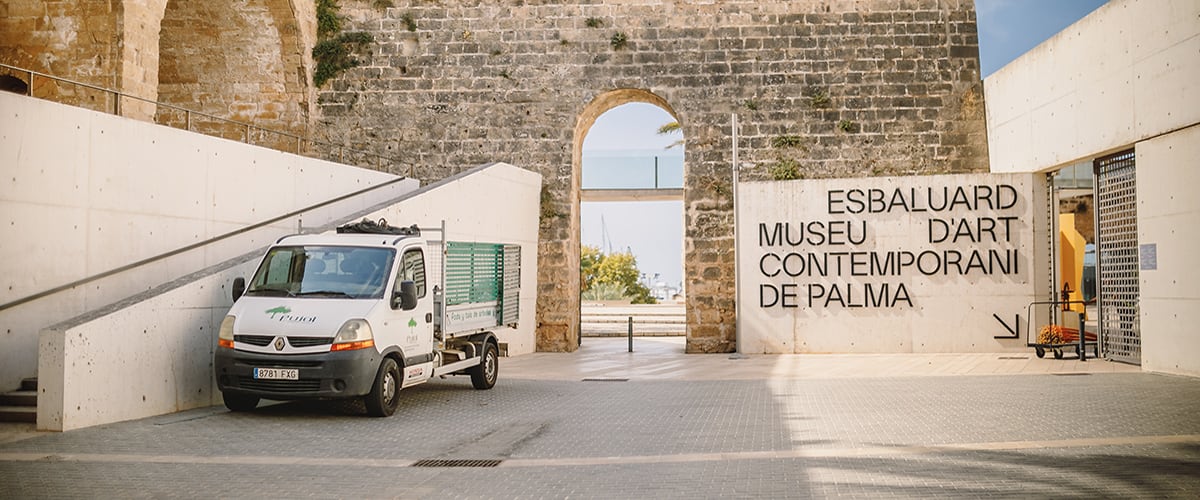 recogida de rastrojos Mallorca | empresa de jardinería
