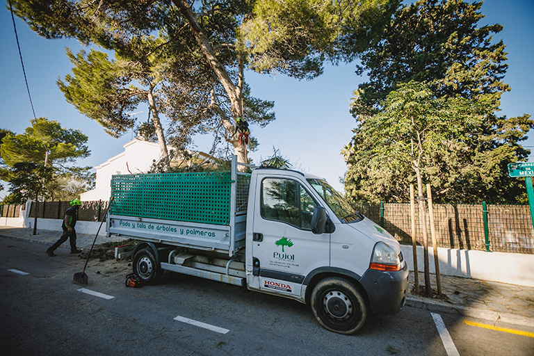 recogida de rastrojos Mallorca | empresa de jardinería